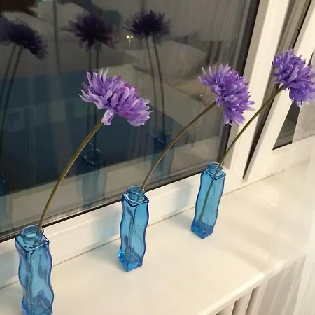 Mieszkanie 3 Maja Sopot Rom bilde